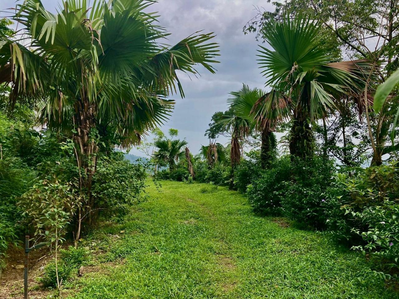 Tvpalm Ecolodge ها جيانج المظهر الخارجي الصورة